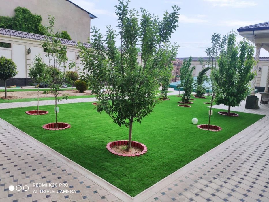 Газон и ландшафты дизайн