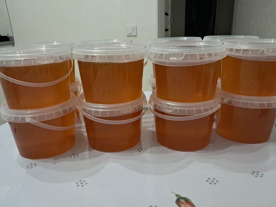 Продаю натуральный майский Катон карагайский мед