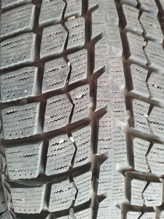 Продам шына зимнй