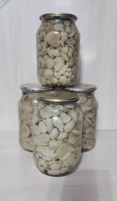 Белые грибы маринованные