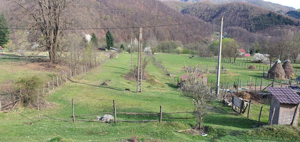 Teren intravilan Closani, Gorj,8674 mp pensiune/ casa vacanta
