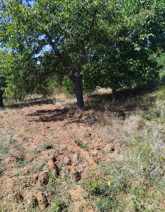 Продава се Къща в с. Крайници, Област Кюстендил - 140 кв.м за 636 €/кв.м - Снимка #4