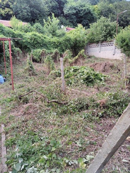 Косене -трева,храсти.Рязане на дървета.Извозване