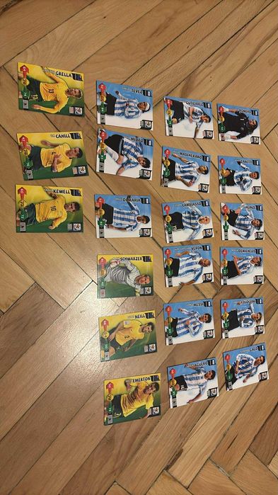 241 различни Panini карти Световно 2010