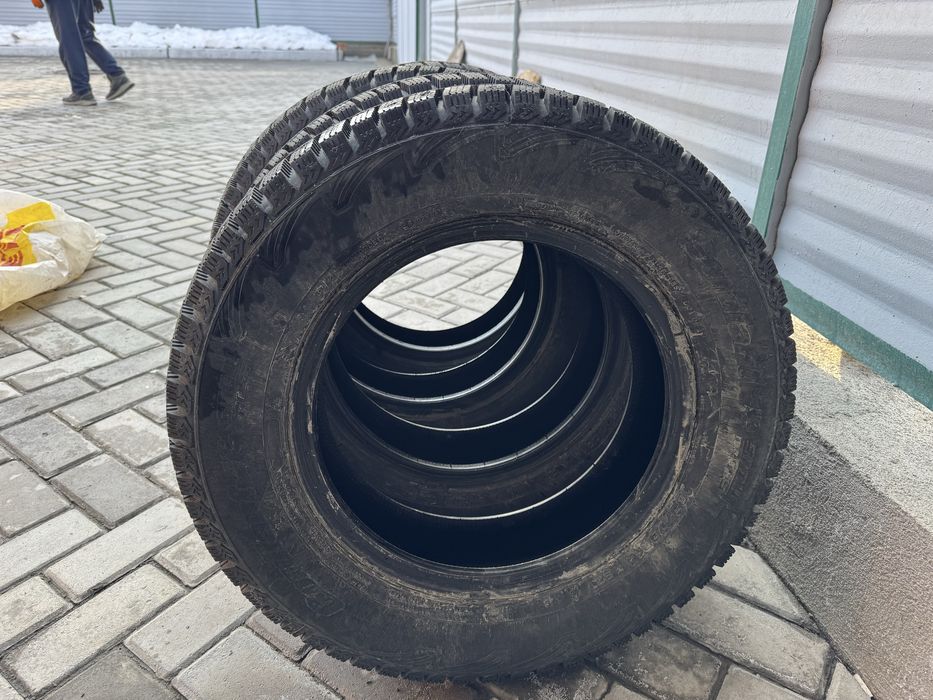 шина зимние Cardiant