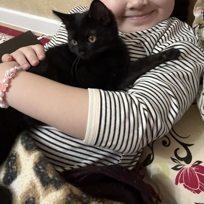 Отдам даром кошечку