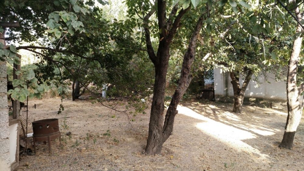 Дом на центральной улице.