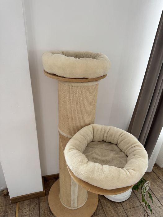 Suport catarat pisici