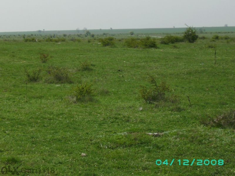 Продава се Парцел в Суворово - 7800 кв.м за 6 €/кв.м - Снимка #7