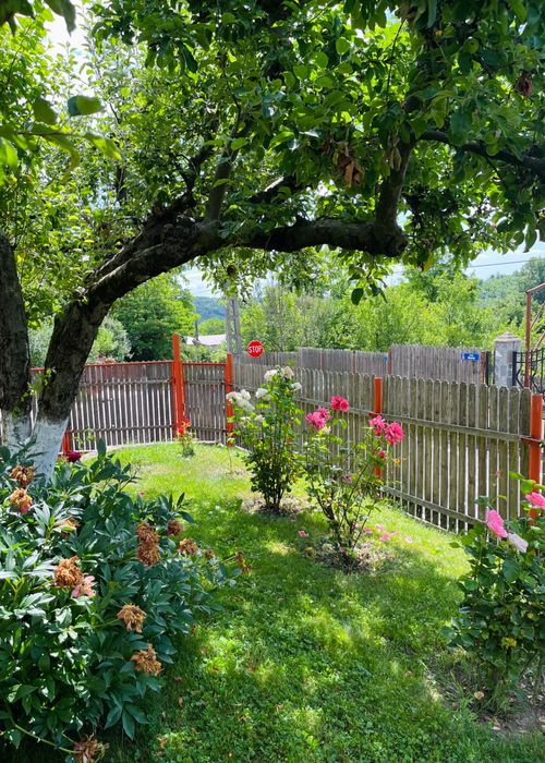 VILĂ 4 CAMERE CU TEREN 1.670 MP ȘI LIVADĂ | VĂLENII DE MUNTE, PRAHOVA