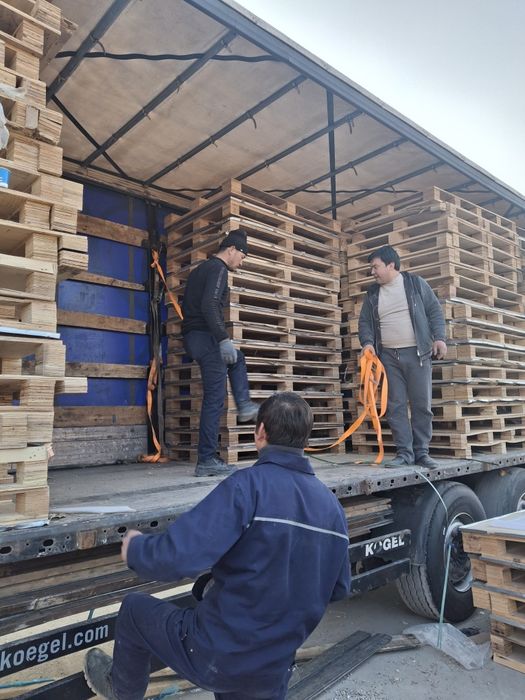 Harhil Turdagi Go'zal Holatda Faneralar Optim. NARHLARDA sotiladi