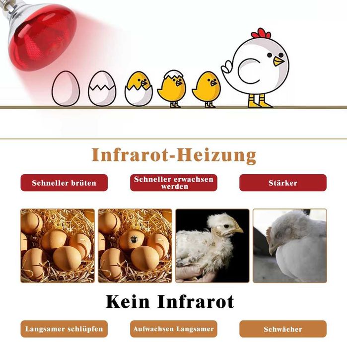 Lampă pentru terariu 6 inci