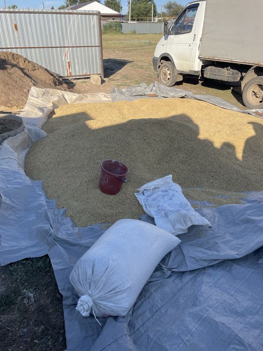 Продам ячмень мешок 4500