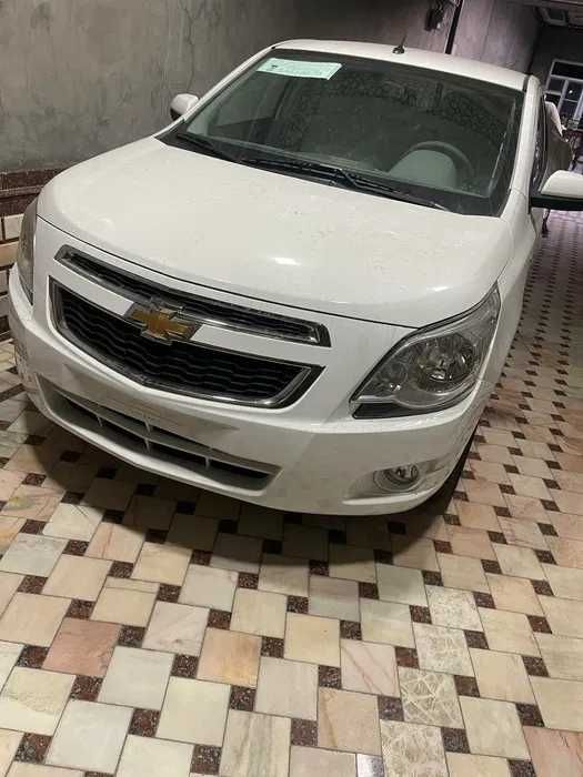 Собалт Стайл 2025