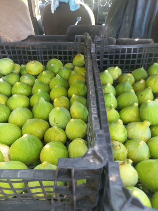 Vindem Smochine DULCI.