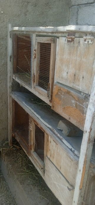 Продаётся дом кроликов