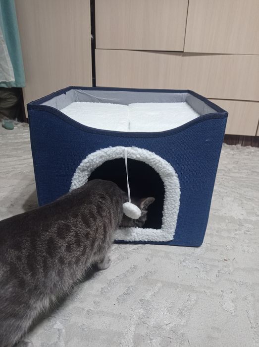 Домик для животных, кошачий домик