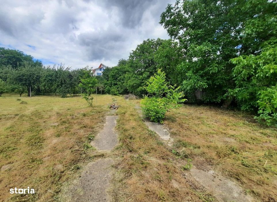 Teren intravilan Valea Vie , 1000 metri Cod:147432