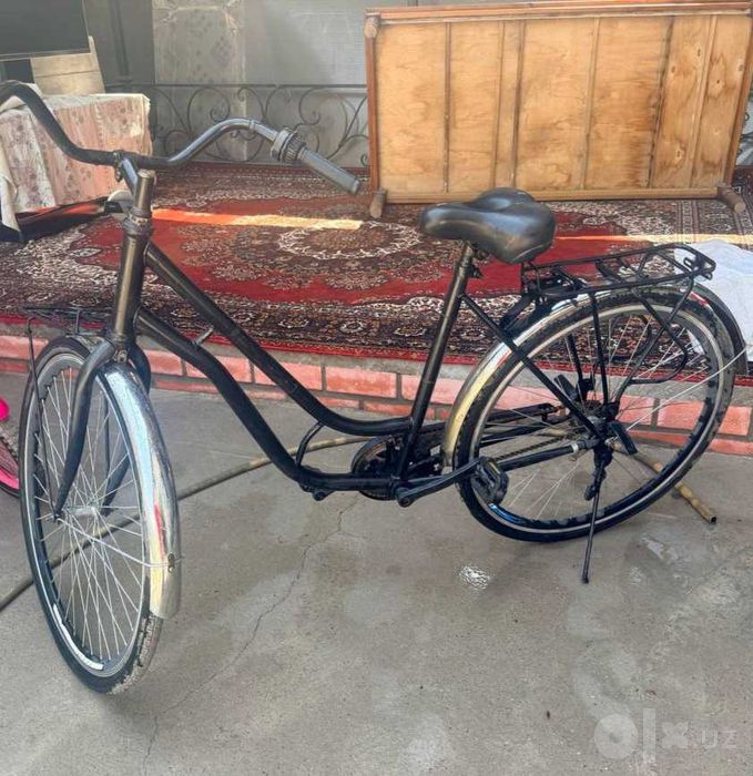 Kattalar uchun velosiped.