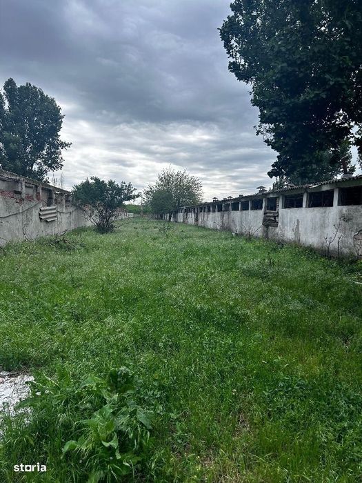 Hale si terenuri De inchiriat Teren în Zona Malu Mare, Criaova