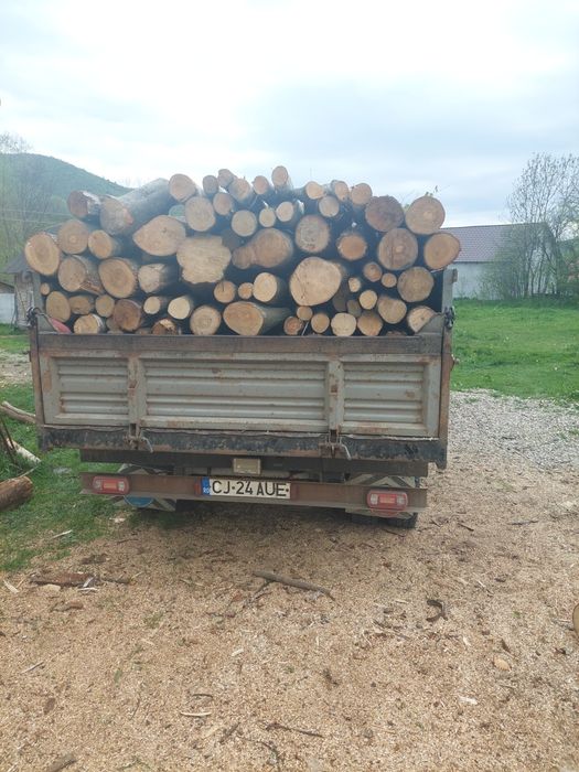 Lemn de foc esenta dorita