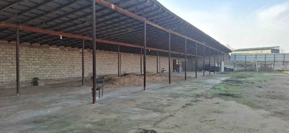 Temir va yog`ochni qayta ishlash sexi, parrandachilik fermasi