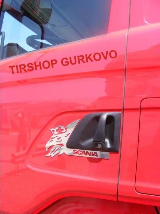 Неръждаеми декорации за SCANIA
