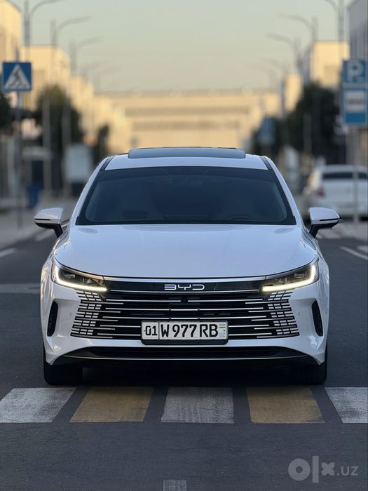 BYD chazor 2 позиция 55 км