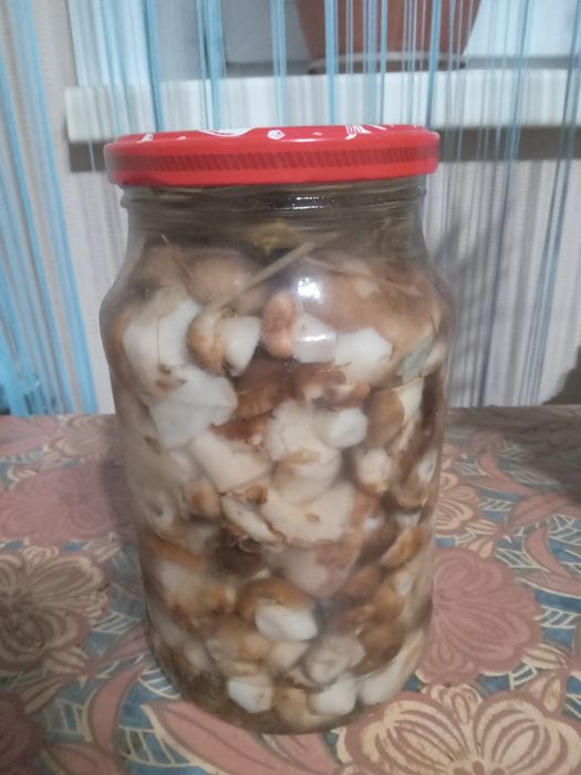 Продам маринованные грибы