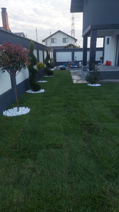 Amenajări grădini gazon și plante ornamentale