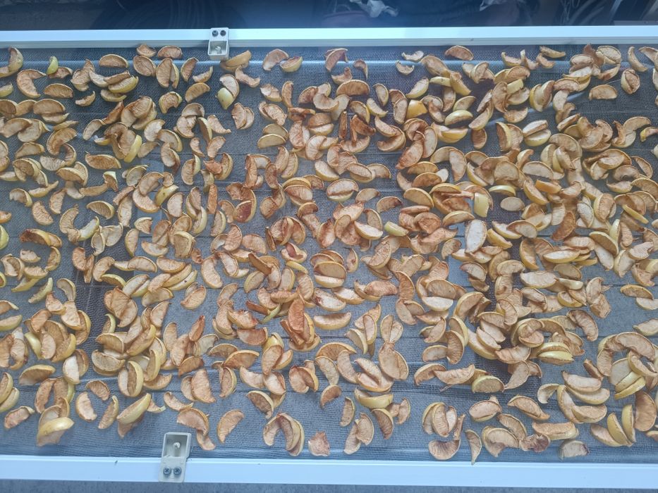 Домашние сушеные яблоки