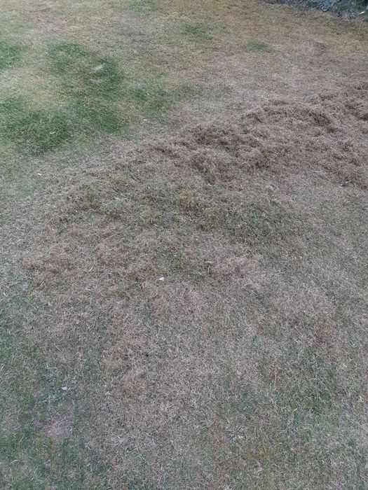 Verticultor/Scarificator gazon