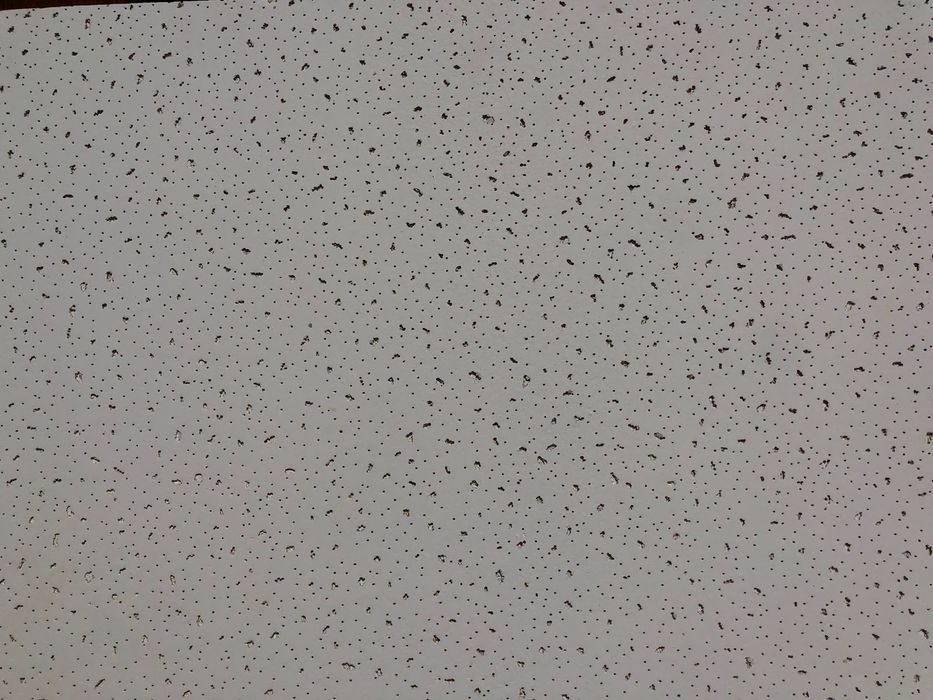 Армстронг потолки от 1200 тг