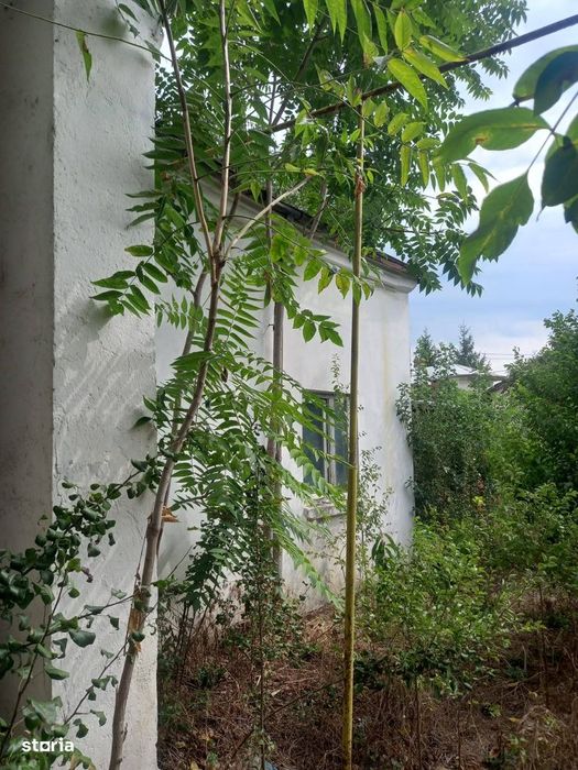 Casă detașată de 80 mp, acces asfaltic și teren 773 mp