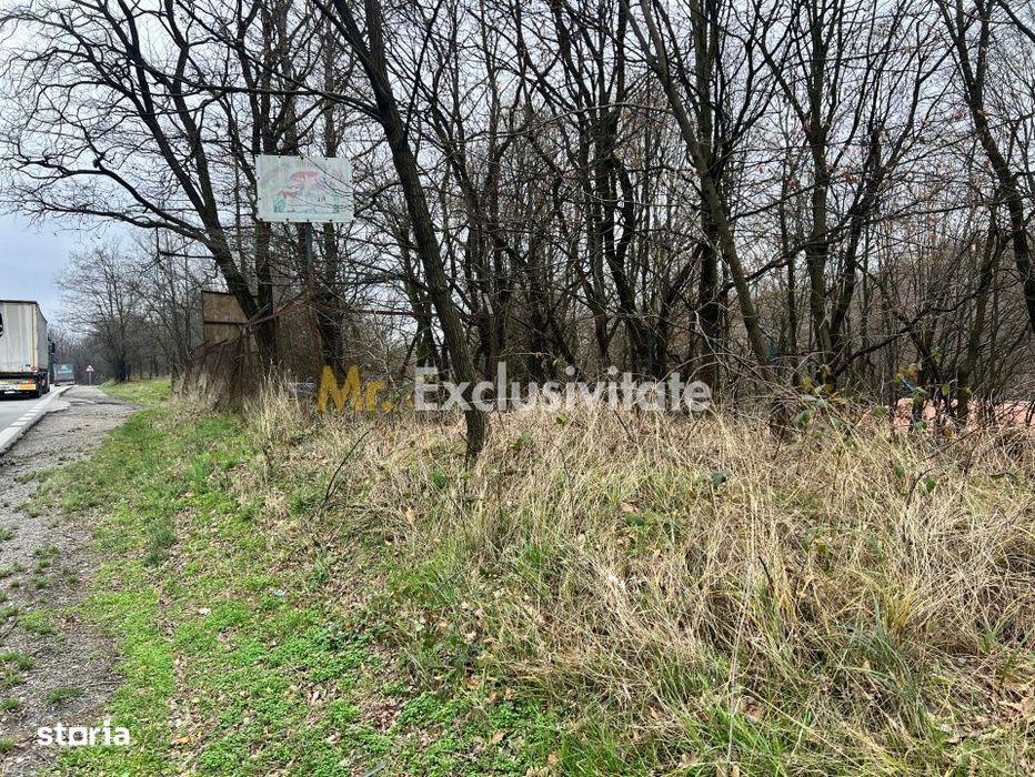 Teren intravilan 6.500 m²–Deschidere 144 ml drum european E81, km 35,