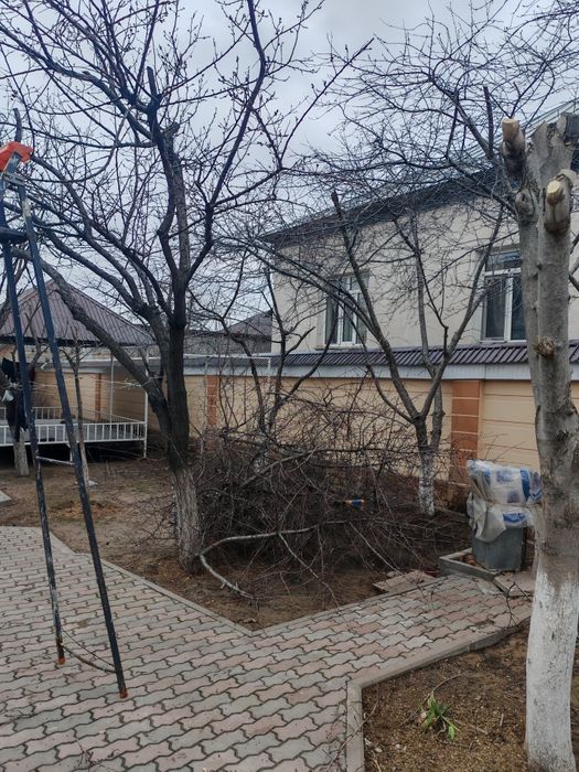 Отын бар, драва есть