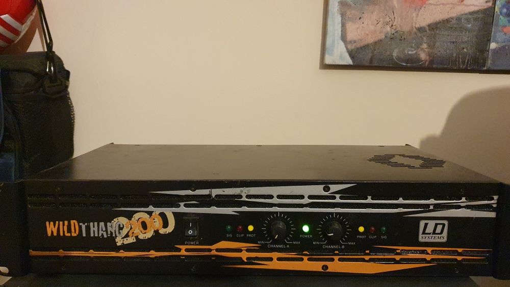 Amplificator  LD Wildthang 200