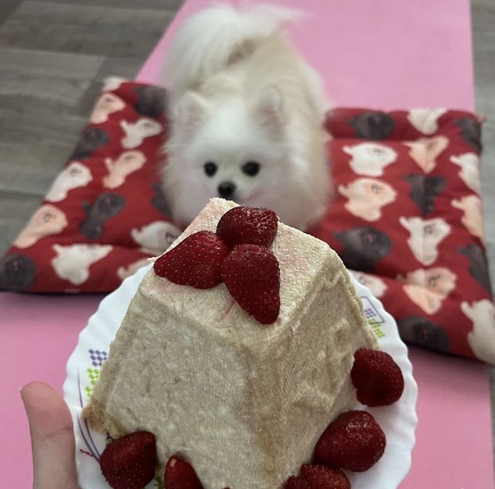 Лежанка для собак