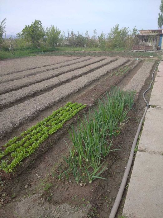 Продается дача срочно