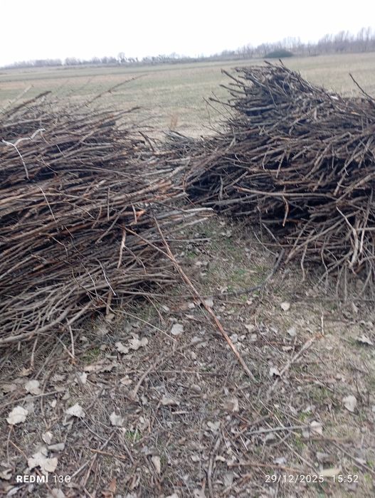 Oʻ'tin sotiladi kelish turib beramiz