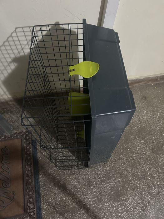 Cusca iepuri 77/46/36