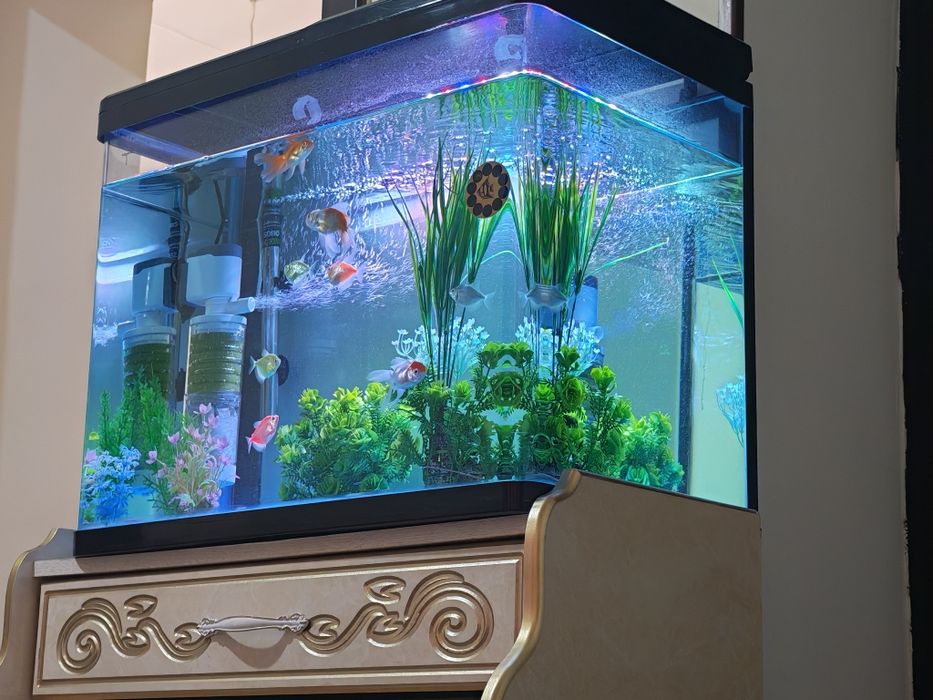 Akvarium quyma zavod