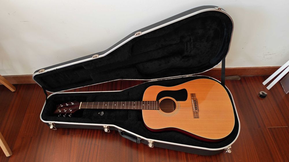 Chitara Washburn + Toc Chitara + stand