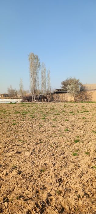 Srochno sotiladi tez chinoz tumani istiqlol MFY navbahor kochasi 28-uy