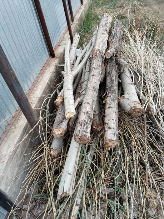 Отдам дрова даром