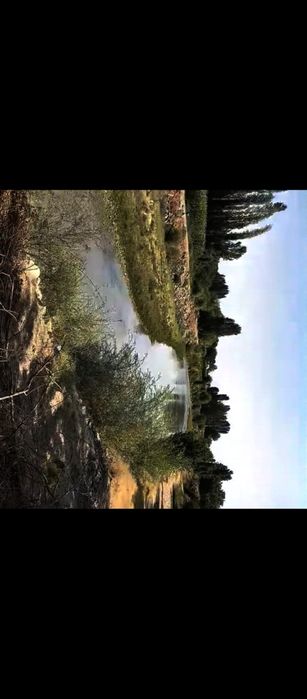 Ховли уй 20 сотх