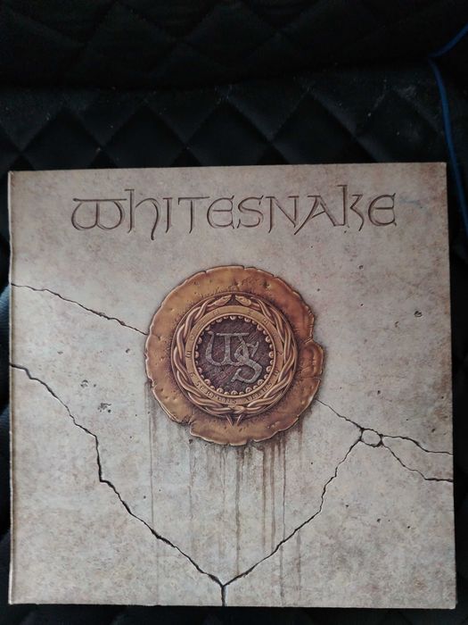 Нови грамофонни плочи