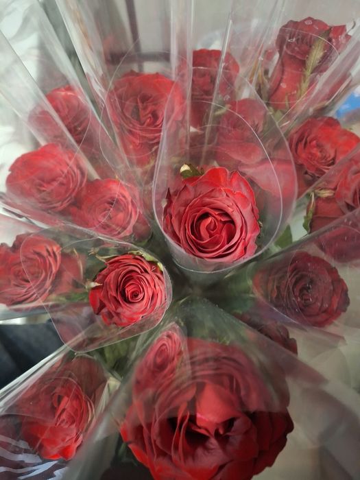 Идеальные красные розы