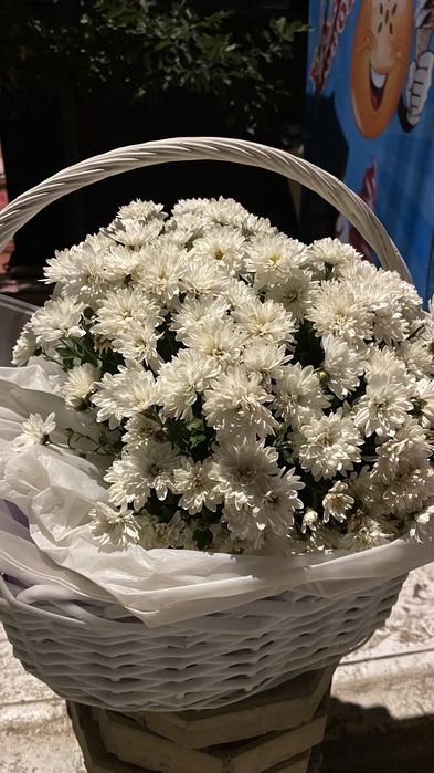 Хризантемы разнобразные