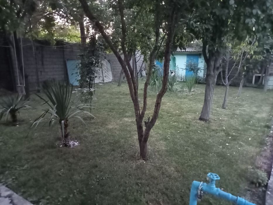 Дачный участок в Янги Узбекистан.